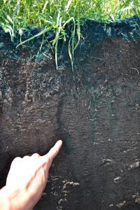 Soil Cutaway