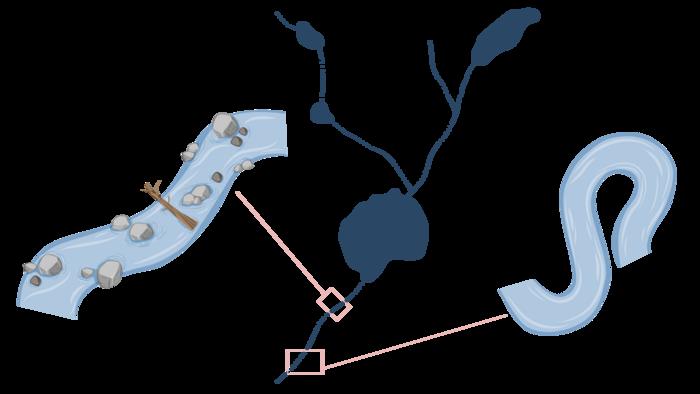 Illustration B