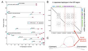Key gene results
