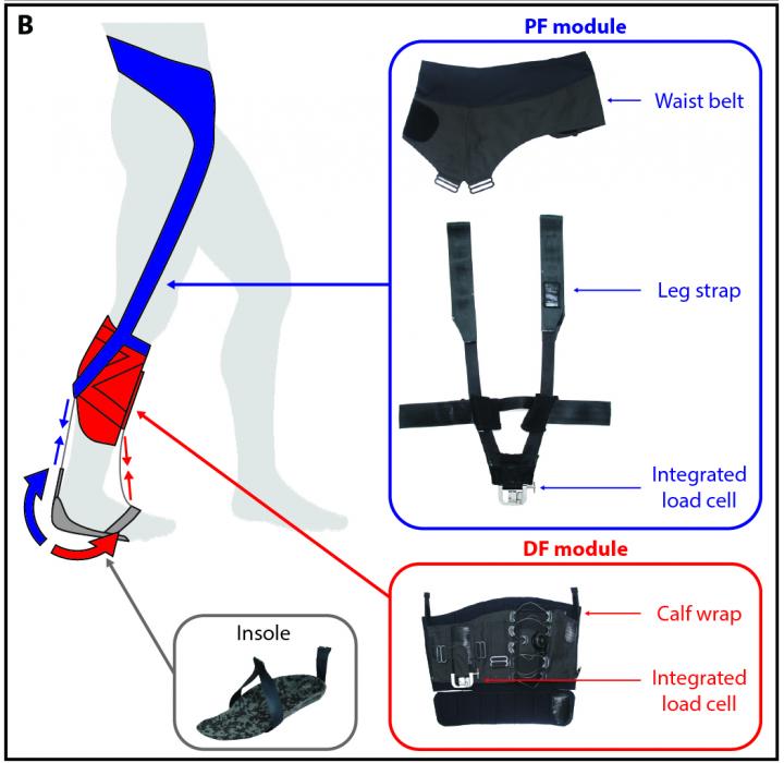 Soft Robotic Exosuits Help Patients Walk After Stroke (2 of 4)