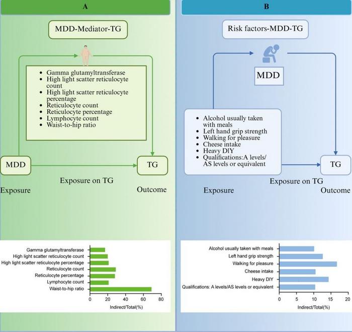 The mediating effects of major depressive disorder (MDD) on triglyceride (TG) levels