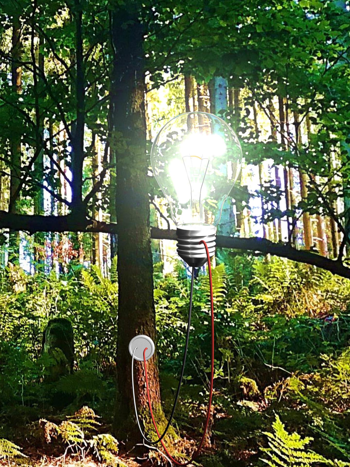 Future Hybrid Trees