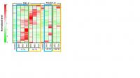Heat Map Analysis