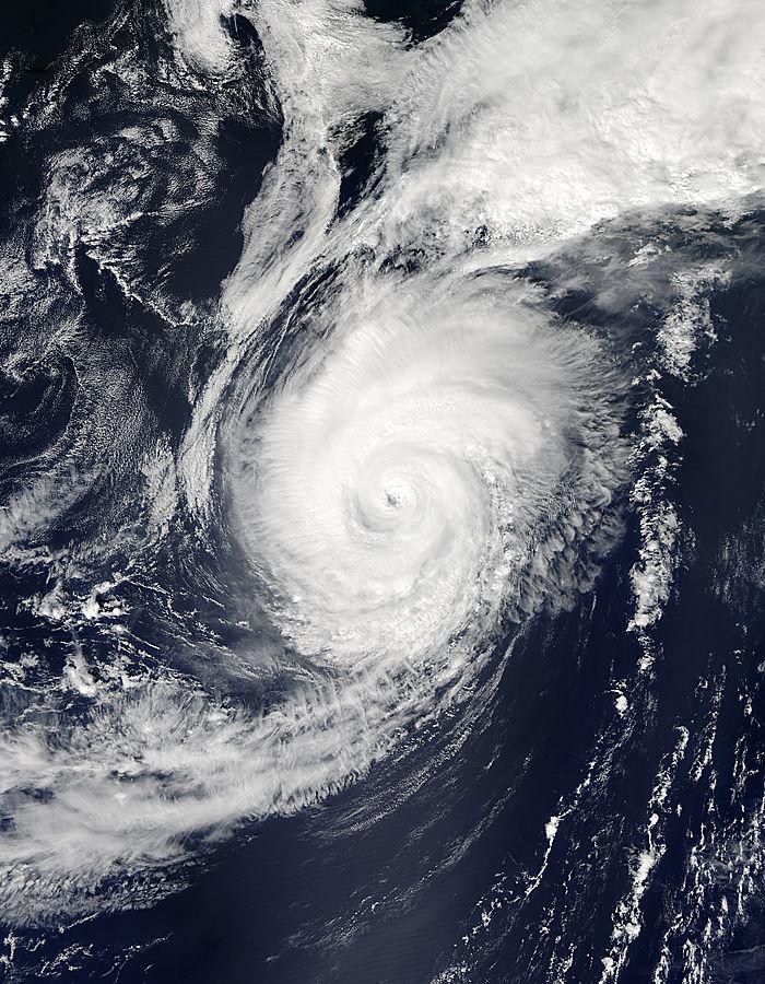 MODIS Image of Edouard
