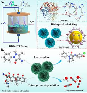 Low-Temperature Plasma Technique Boosts Nanozyme Innovation for Tackling Antibiotics