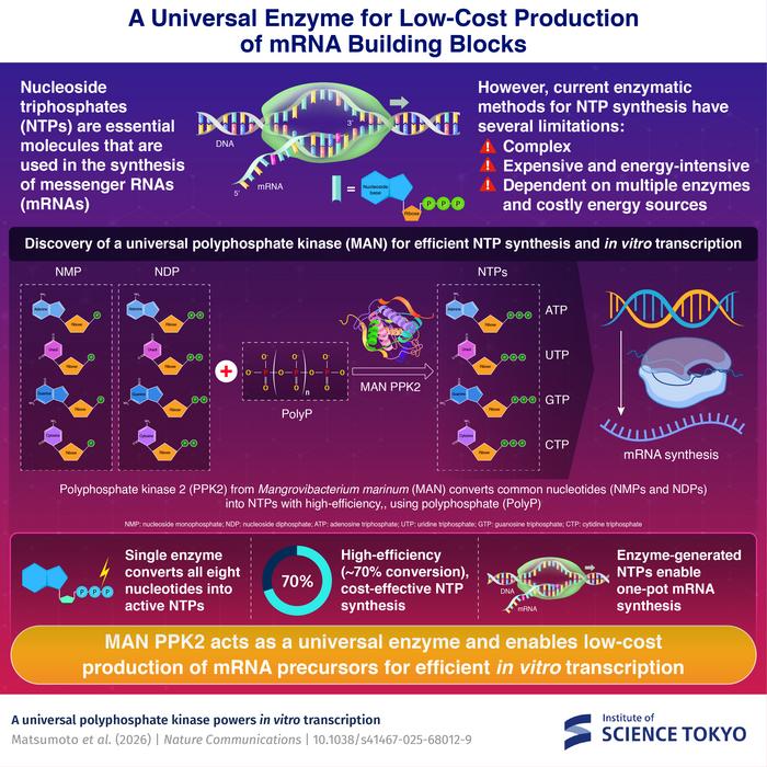 A Universal Enzyme for the Low-Cost Production of mRNA Building Blocks
