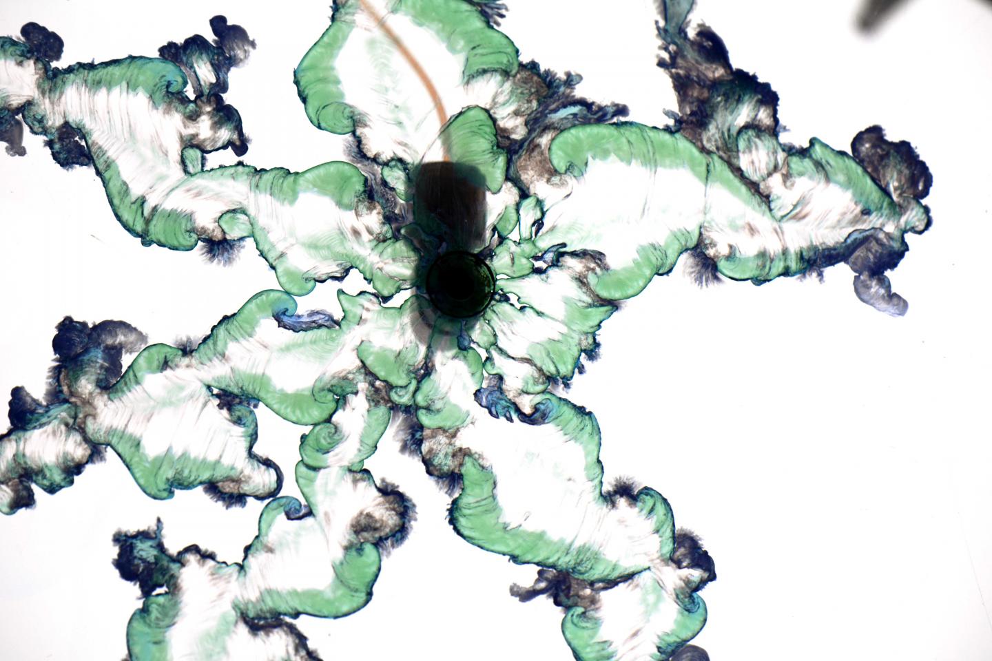 Chemical Gardens