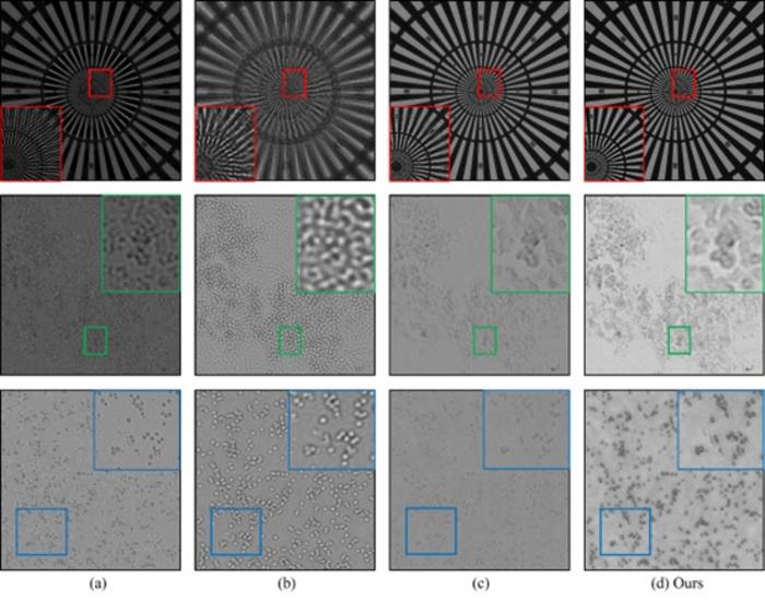 Figure 5. Comparison of the reconstruction results of different FPM reconstruction methods (a, b, c) on the two-dimensional samples.