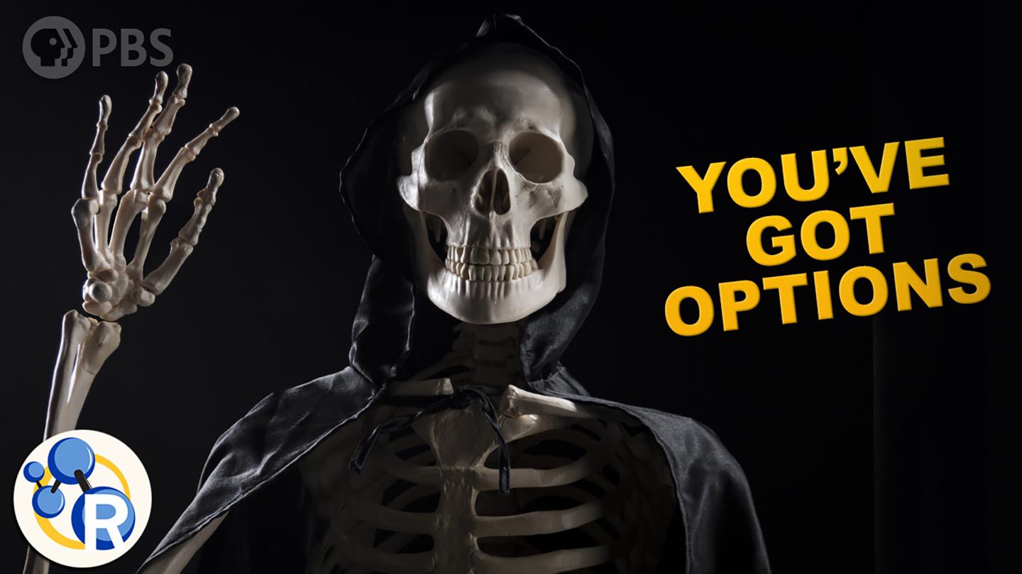 What Will You Do with Your Body after You Die? (Video)