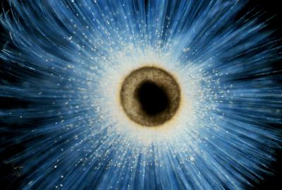 Lithium Isotopes Record Major Geologic Events