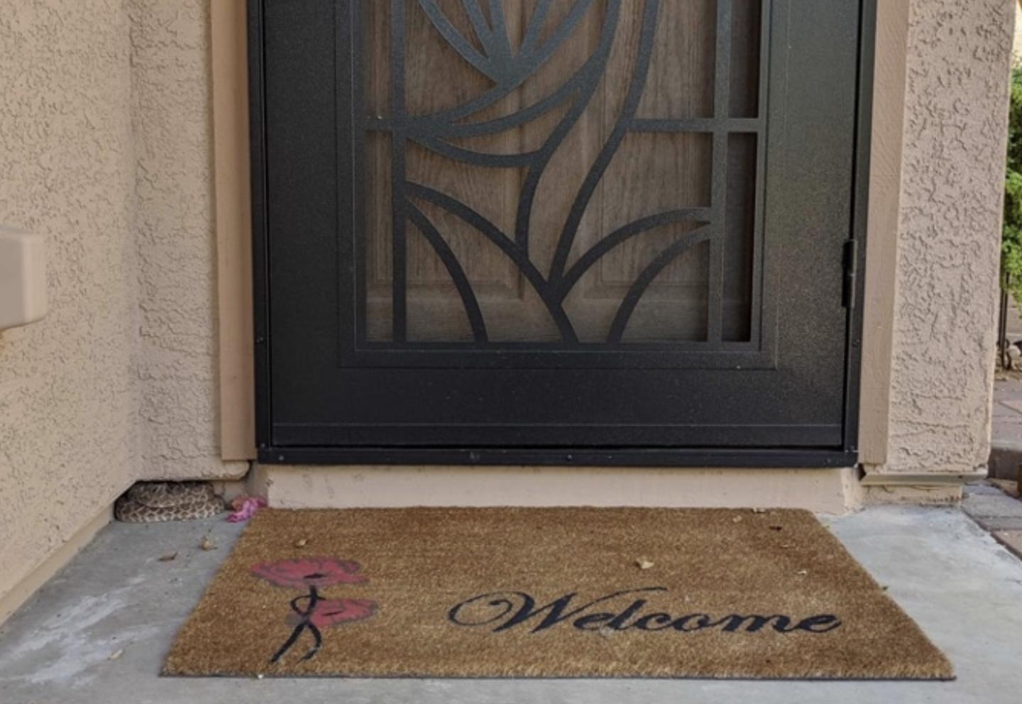 A welcome visitor?