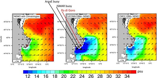 The Po river plume with different modelling approaches