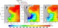 The Po river plume with different modelling approaches