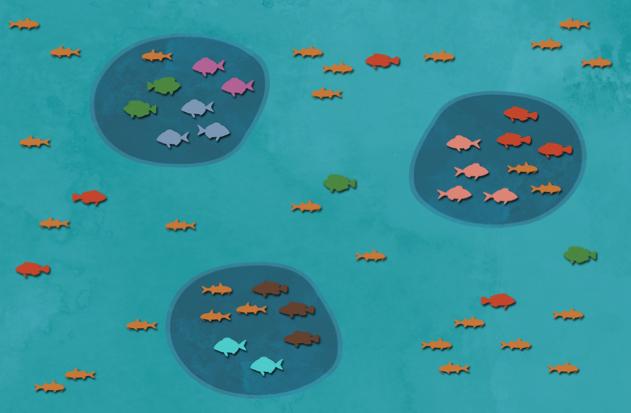 Network of MPAs