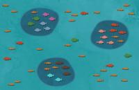 Network of MPAs