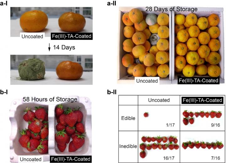 Photos of Uncoated Fruites and Fe(III)-TA-Coated Fruits