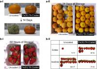 Photos of Uncoated Fruites and Fe(III)-TA-Coated Fruits