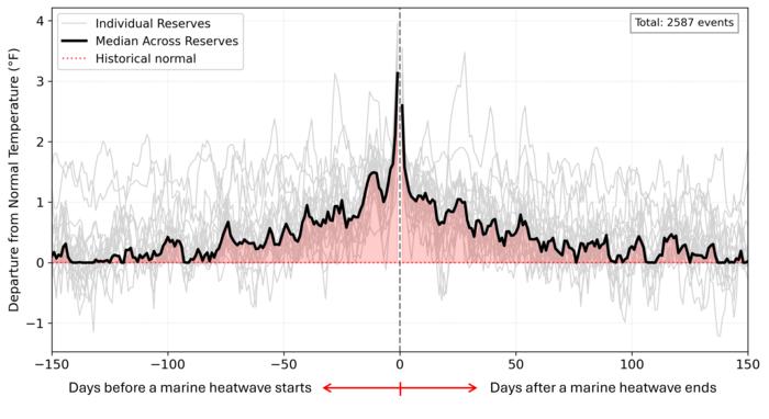 Warm Water Anomalies