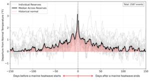 Warm Water Anomalies