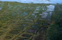 Permafrost in the National Petroleum Reserve-Alaska