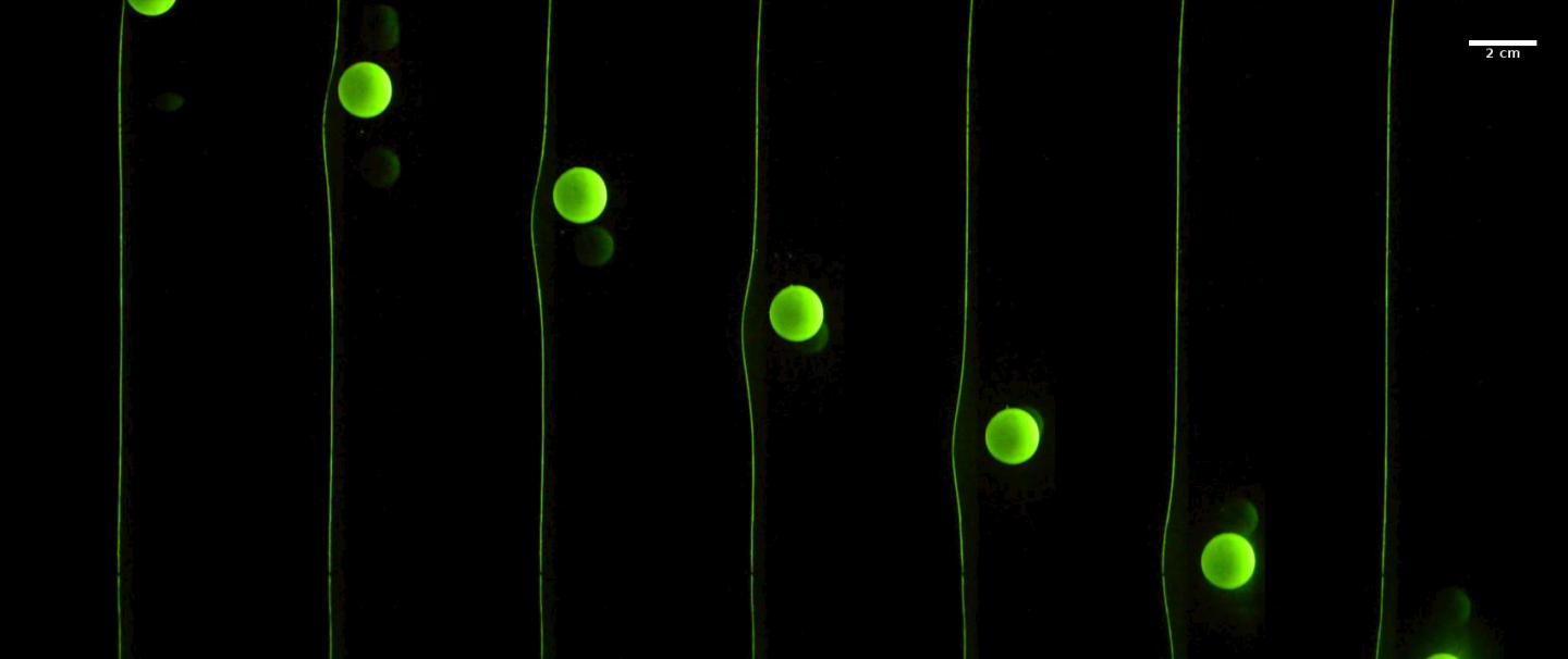 Surfing Particle