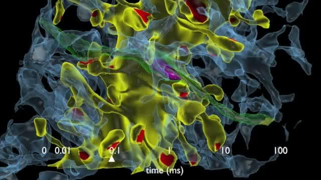 Salk Institute Shows Brain Is Capable of 10 Times More Memory Storage Than Previously Thought