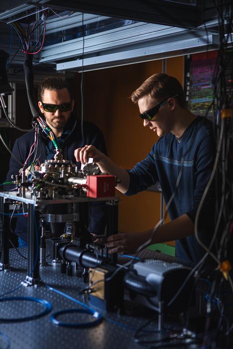 Niffenegger lab
