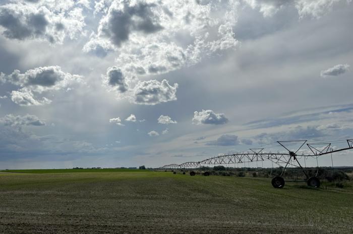 A field with irrigation equipment