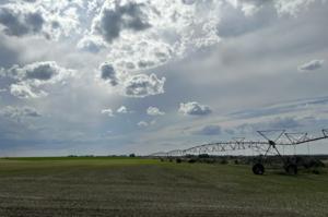 A field with irrigation equipment