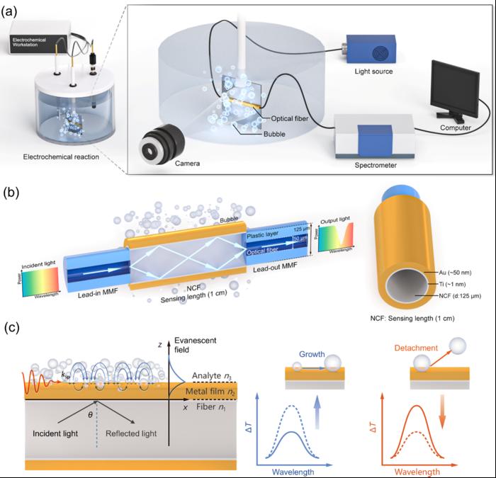 Schematic of fiber optic sensor and corresponding mechanism for bubbles.