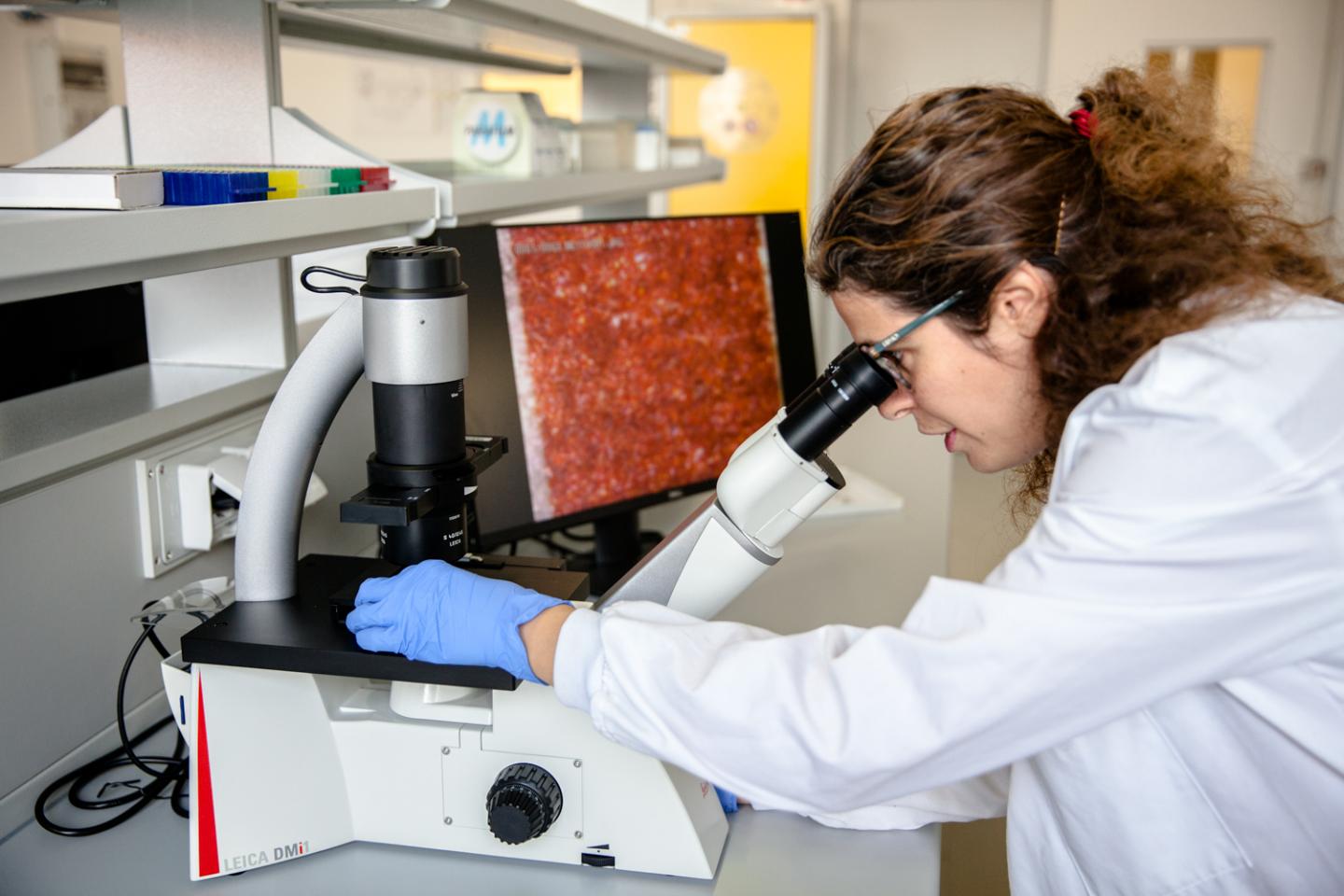 Politecnico di Milano TechnoBiology labs