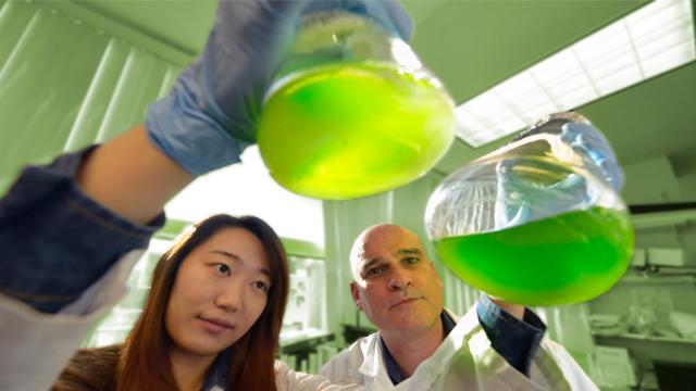 Ji Na Kong and Dr. Erhard Bieberich, Medical College of Georgia at Georgia Regents University
