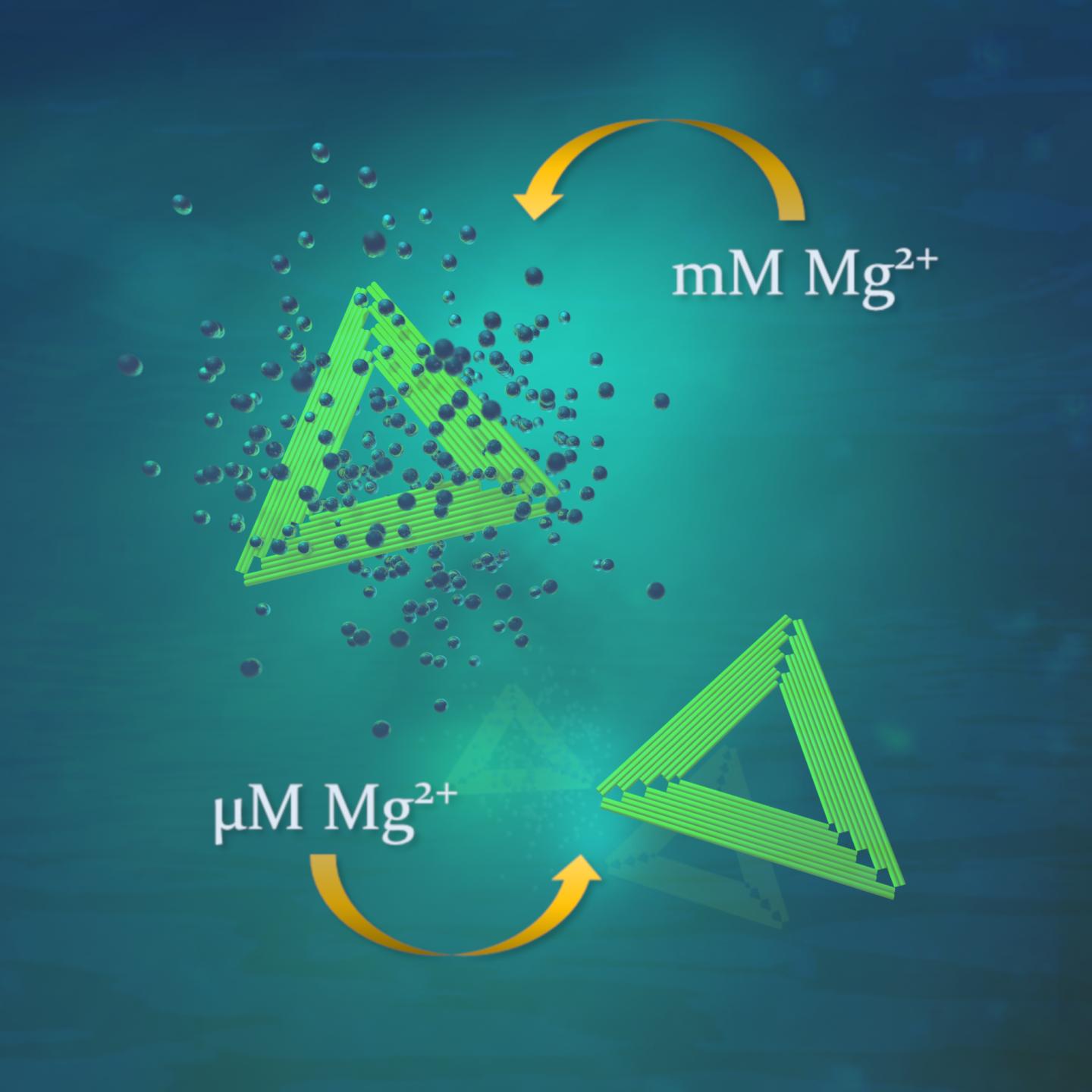 DNA Origami Nanostructures