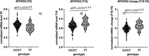 mRNA expression