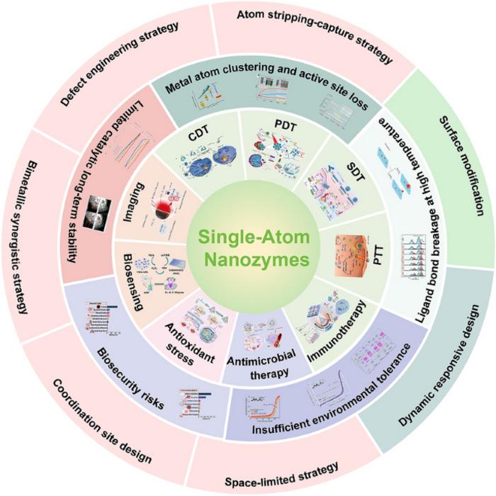 Innovative Strategies to Overcome Stability Challenges of Single‑Atom Nanozymes