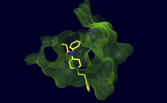 A fentanyl countermeasure that adapts to combat future black-market drugs