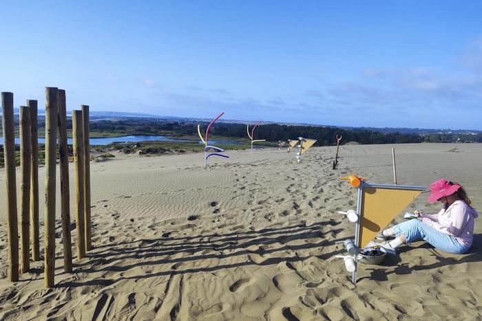 Dune obstacles