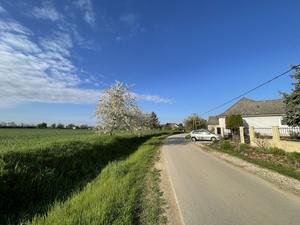 A village embedded in an agriculture-dominated landscape