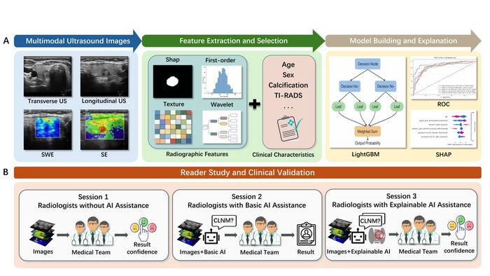 Explainable AI Improves Prediction of Lymph Node Metastasis in Thyroid Cancer