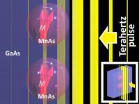 Terahertz Pulses