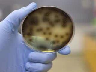 Copper Clinical Trials