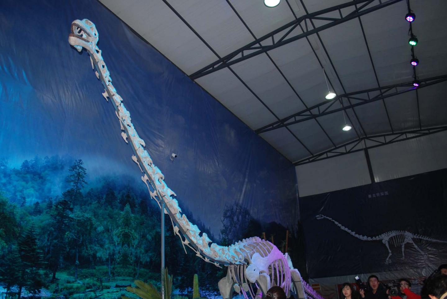 Long-Necked Dinosaur