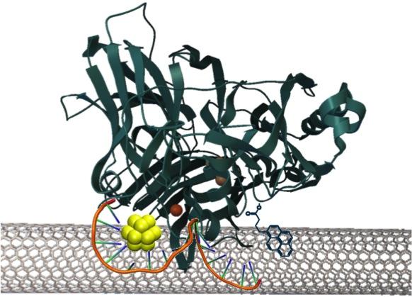 DNA-Templated Gold Nanocluster