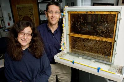 Professors May Berenbaum and Gene Robinson, University of Illinois at Urbana-Champaign