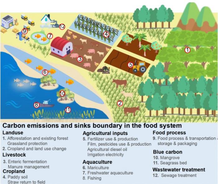 Transforming food systems toward carbon neutrality on a rapidly developing tropical island