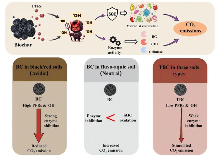 Soil-specific protection of organic carbon by biochar-derived hydroxyl radicals associated with enzyme suppression