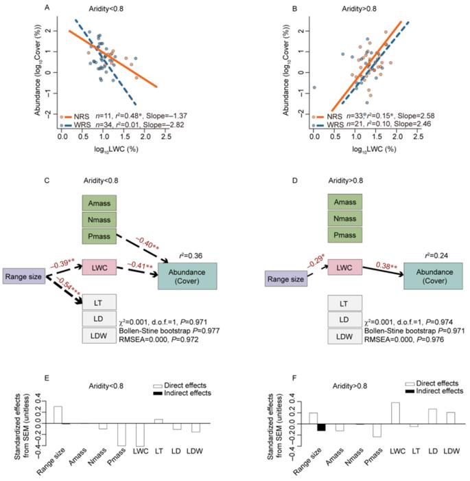 The relationships between range size, leaf water content, and abundance for plants in drylands