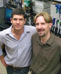 Alexis Vallée-Bélisle and Andrew Bonham 
