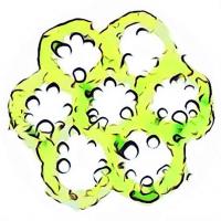 Algae illustration