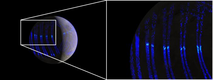 Artistic views of the ultraviolet aurorae on Ganymede